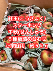 紅玉＆スターキング＆千秋３種りんご詰合わせ約５ｋｇご家庭用