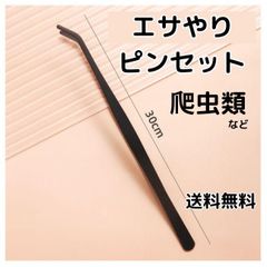 Item thumbnail for item 73b7bcf4-c7ef-4c79-b25f-df15860f8018