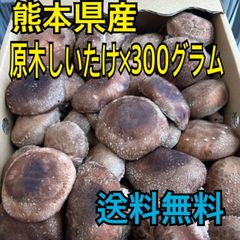 熊本県産　原木しいたけ　300g　秀品