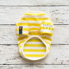 《胴回り40》イエローボーダーのシンプル夏Tシャツ犬服
