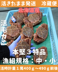 活きたまま　活毛ガニ　400～490ｇ1尾　中・小サイズ　冷蔵便