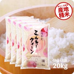 米 新潟県産ミルキークイーン20kg  お米 和5年産 白米