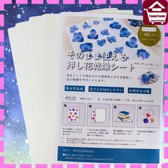 そのまま使える押し花乾燥シート　Ｂ5サイズ４枚　吸水性のあるシートに花を挟むだけで押し花が完成