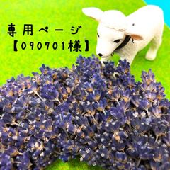専用ページ【090701様】サブレ＆ラベンダーティー
