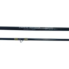 2025年最新】カプラス フライの人気アイテム - メルカリ