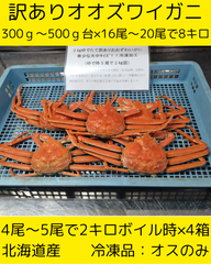 16尾から20尾入で8キロ　特大～大サイズ　訳ありオオズワイガニ　冷凍便