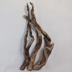 流木インテリア3点(a-39)