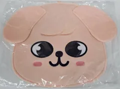 Stray Kids 2023 Seungmin MANIAC ENCORE in JAPAN IMAGE PICKET CASE SKZOO