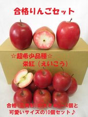合格りんごセット☆超希少品種☆『栄紅』五角形りんご3∼4個&可愛いサイズ10個