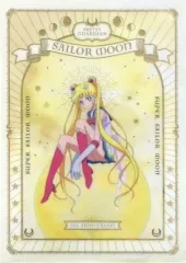 美少女戦士セーラームーンストアオリジナル A2クリアポスター 集合　新品未開封 1/31(金)~2/2(日)『明治・美少女戦士セーラームーンコラボ
