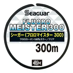 ダイワスティーズAⅡTW シーガーR18BASS14lbフロロマイスター