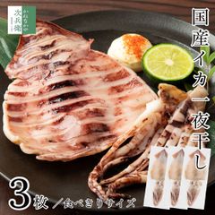 無添加 国産 天然 イカ 一夜干し 3枚セット(約80g-120g×3枚入) 冷凍 スルメイカ 烏賊 うす塩仕立て 軽く炙ってお召し上がりください【C配送：冷凍】