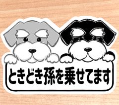 ときどき孫を乗せてます【シュナウザー2匹】マグネットタイプ/シールタイプ/吸盤タイプ/