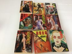 菊池秀行　光文社文庫　セット　本　バイオレンス　小説　文庫　超伝奇小説　ハード　アクション小説