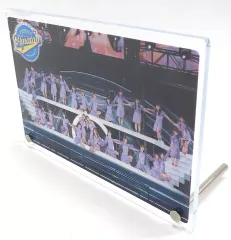 2025年最新】齊藤京子_mmの人気アイテム - メルカリ