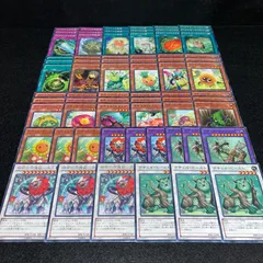 No.PP14 遊戯王 ナチュル デッキパーツ 構築用 ナチュルビースト ナチュルエクストリオ