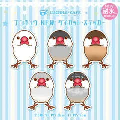 2025年最新】シナモン文鳥の人気アイテム - メルカリ