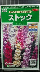 ストック 切り花用 早生系 種 ３袋セット