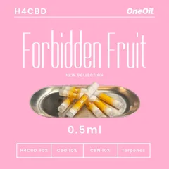 人気再入荷♪ fruit 邦楽 Forbidden LUSTEDEN 即納 激レア品 LUSTEDEN