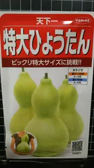 ひょうたん　46　乾燥済み　変わり　首長　超特大サイズ　無病息災　縁起物 ひょうたん 46 乾燥済み 変わり 首長 超特大サイズ 無病息災 縁起物