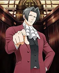 2025年最新】逆転裁判4 限定版の人気アイテム - メルカリ