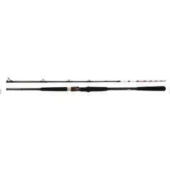 【極美品】ダイワ 極鋭ヤリイカ EX 82-175 訳あり】ﾀﾞｲﾜ 極鋭ﾔﾘｲｶ EX 82-175(82-175): 竿｜釣具の通販なら