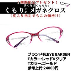 オススメ No.1172メガネ　EYE GARDEN【度数入り込み価格】 サングラス/メガネ