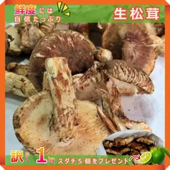 2025年最新】中国産松茸の人気アイテム - メルカリ