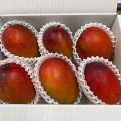 鹿児島県産完熟マンゴー10〜12個入（5キロ）残り一箱 - メルカリ