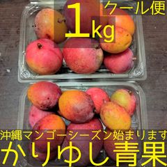 沖縄産★ミニマンゴー 約6kg クール便発送 沖縄県産マンゴー