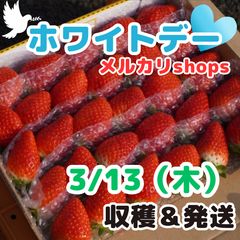 【ホワイトデー】新鮮朝採りいちごのサムネイル