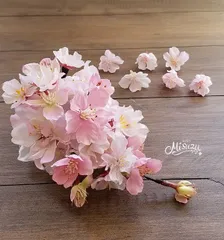 『特集掲載』桜サクラの花簪　前撮り　パーティ　七五三　成人式　ヘッドドレス　さくらの宴