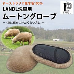 LANDL 2個セット ムートングローブ 車 傷防止 洗車 手洗い洗車用モップ
