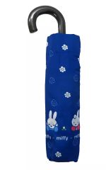 Item thumbnail for item b8c8ae55-de4f-4b46-a892-8e2fcd96a398