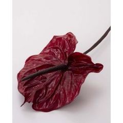 Item thumbnail for item 42d26b75-4e48-49c7-9ff8-28746a581527