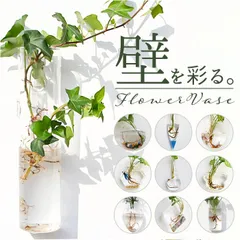 ☆ 壁掛け花瓶 najshb0700 壁掛け 花瓶 一輪挿し フラワーベース ガラス 花びん 花器 小さい コンパクト フック付き 倒れない 涼しげ 透明 クリア 壁飾り ウォールデコ リビング インテリア 水耕栽培 おしゃれ オシャレ