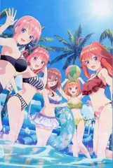 【中古】抱き枕カバー・シーツ・ブランケット 水着 大判タオルケット Part2 「映画 五等分の花嫁」