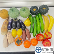 果物 野菜 模型 食品サンプル 　29点セット