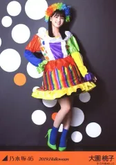 乃木坂46 大園桃子　生写真 61Ec19oA07L._AC_UF350,