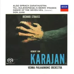 カラヤン　KARAJAN 1960s CDボックスセット 海外ブランド Amazon.com: Karajan 1960s: CDs & Vinyl