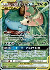 【001-064 RR】フシギバナ&ツタージャGX