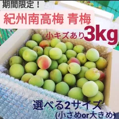 十郎梅完熟9kg 3L埼玉産 十郎梅完熟9kg 3L埼玉産