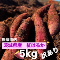[訳あり]茨城県産 紅はるか さつまいも 曲がり折れサイズ不揃い 5キロ