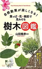 2024年最新】樹木図鑑の人気アイテム - メルカリ