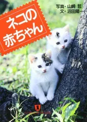 神さまのお使い猫/世界文化社/沼田陽一