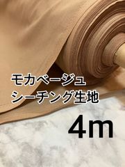 Item thumbnail for item 938f0243-0498-4308-8456-395bc4704bc3