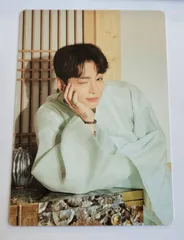 BTS DALMAJUNG ダルマジュン ミニフォト【 グク 50 】