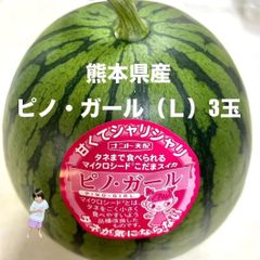 【産地直送・即日発送可】熊本県産小玉西瓜すいか　ピノ・ガール（Ｌ）３玉　正規品　秀品　マイクロシード　種まで食べられるスイカ