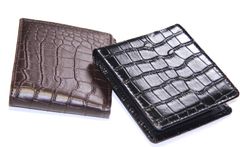 Item thumbnail for item 96c94a83-20ee-40da-b784-ae7109894f4f