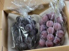 やまゆさん様専用クイーンニーナ1kg&訳あり藤稔1kgクール便